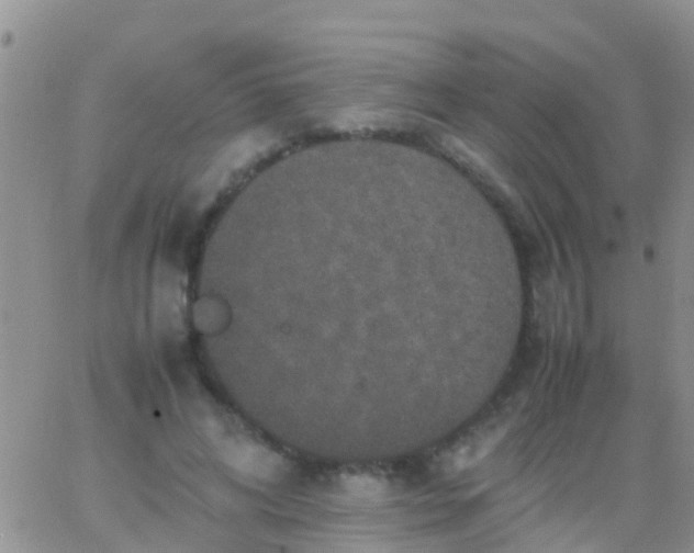 X0000065980592200603172117