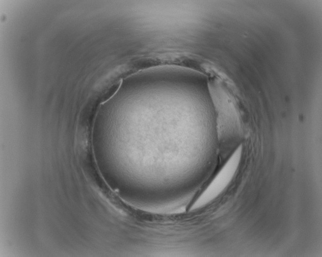 X0000065980593200603172117