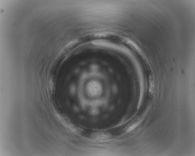 X0000065980597200603172117