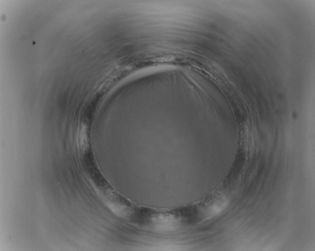 X0000065980598200603172117