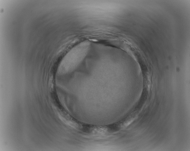 X0000065980599200603172117