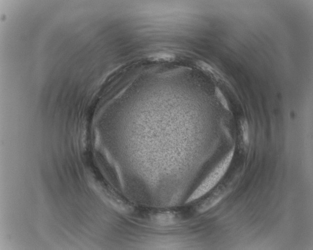 X0000065980600200603172117