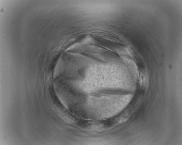 X0000065980601200603172117