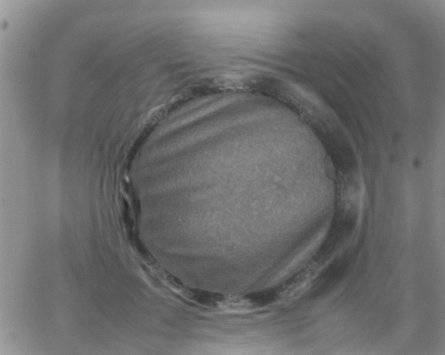 X0000065980603200603172117