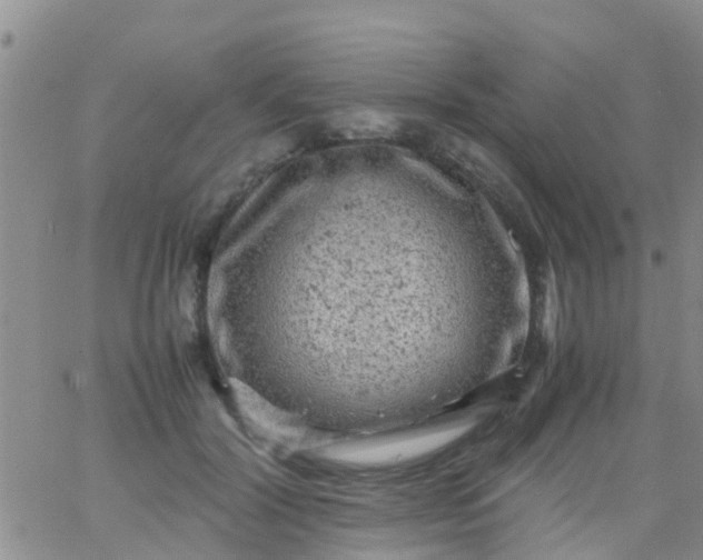 X0000065980604200603172117