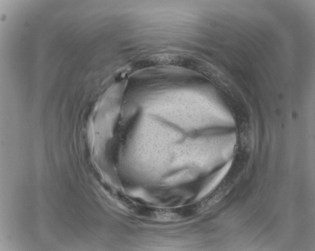 X0000065980605200603172117