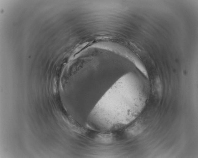 X0000065980606200603172117