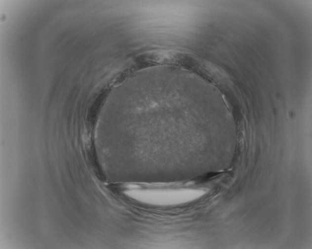 X0000065980607200603172117