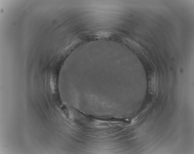 X0000065980608200603172117