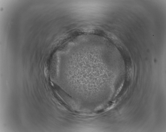 X0000065980609200603172117