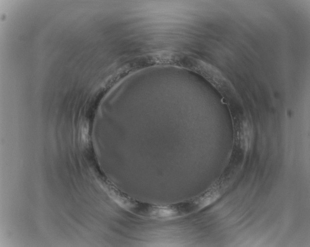 X0000065980610200603172117