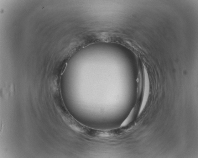 X0000065980611200603172117