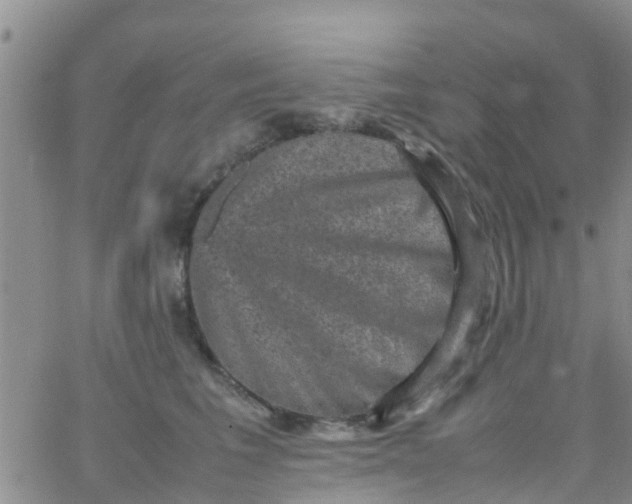 X0000065980613200603172117