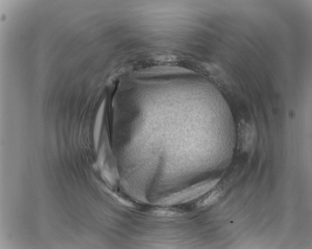 X0000065980614200603172117