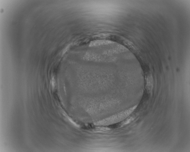 X0000065980617200603172117