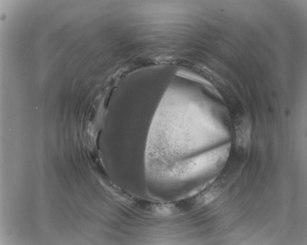 X0000065980618200603172117