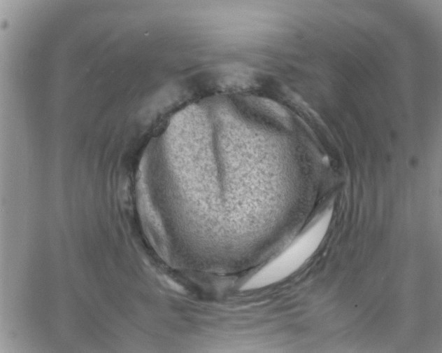 X0000065980619200603172117