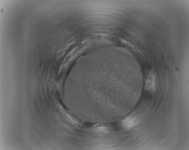 X0000065980620200603172117