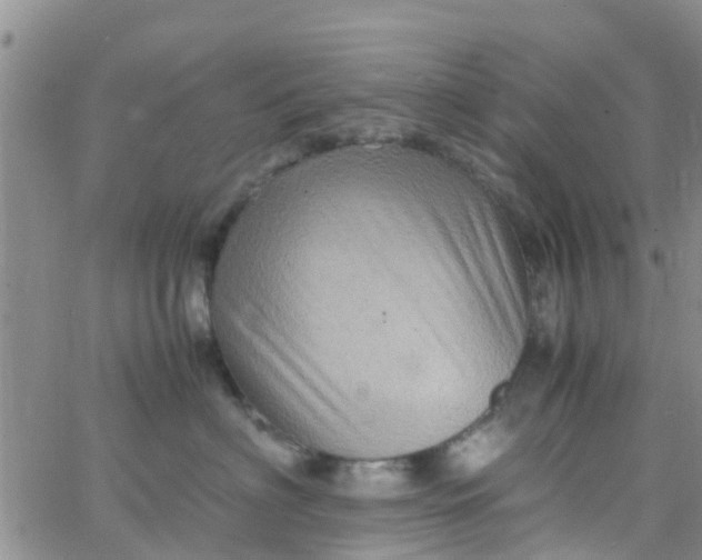 X0000065980622200603172117