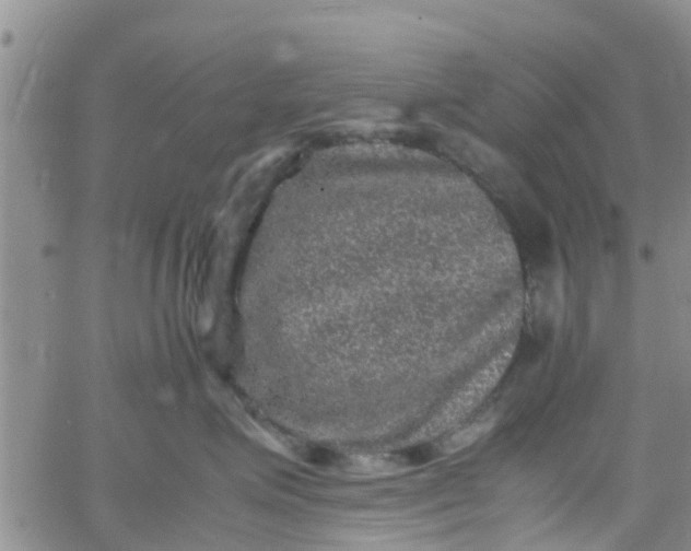 X0000065980623200603172117