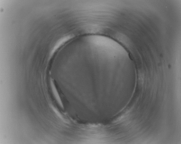 X0000065980626200603172116