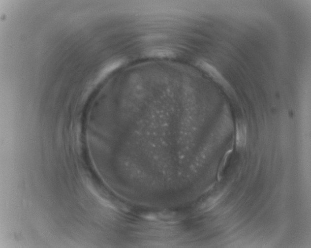 X0000065980627200603172116