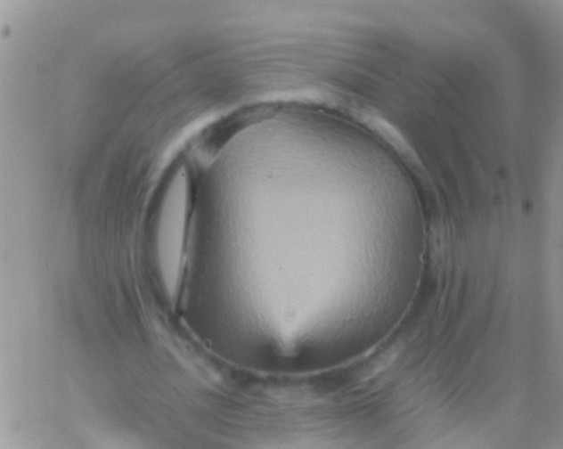 X0000065980628200603172116