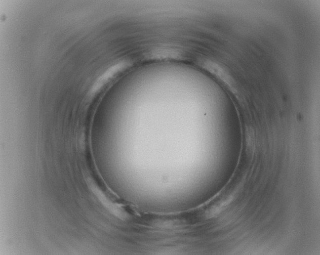 X0000065980629200603172116