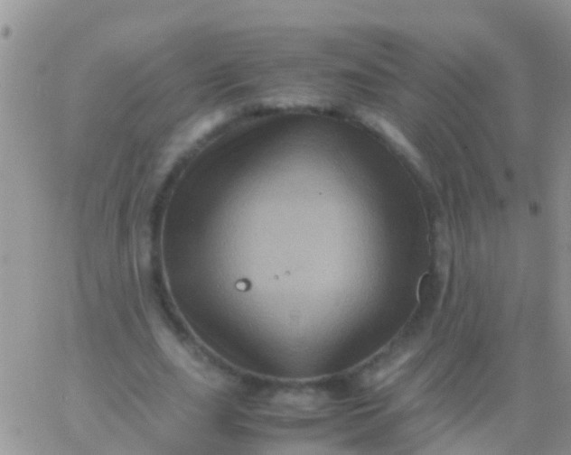 X0000065980631200603172116