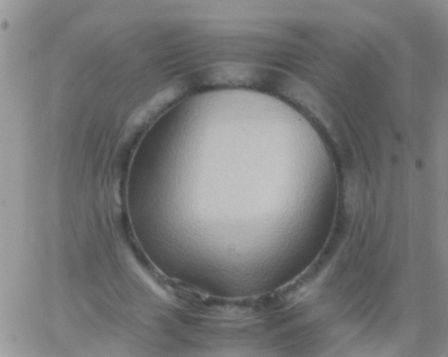 X0000065980633200603172116