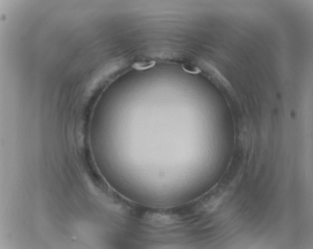 X0000065980635200603172116