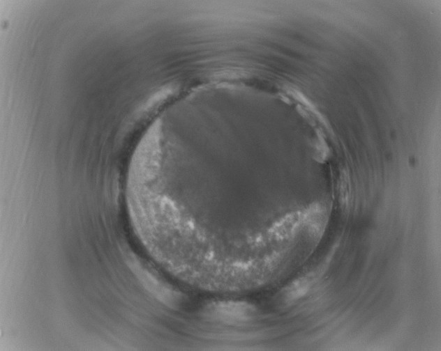 X0000065980637200603172116