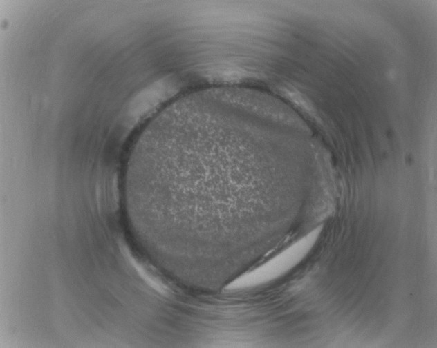 X0000065980638200603172116