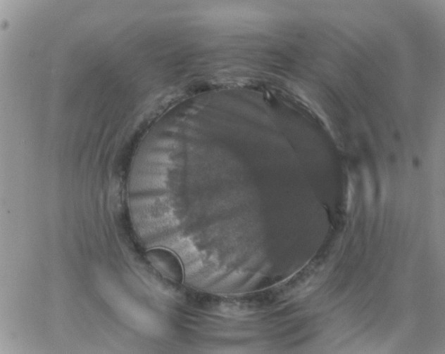 X0000065980641200603172116