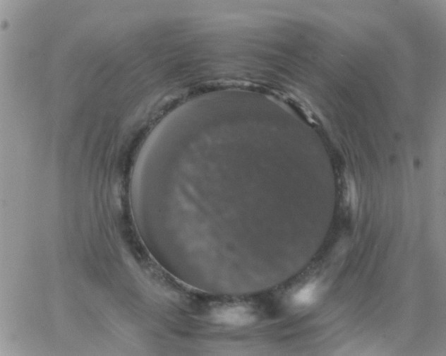 X0000065980643200603172116