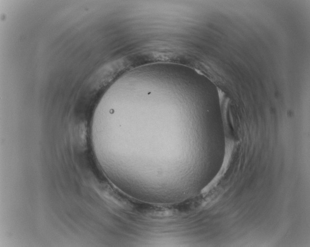 X0000065980646200603172116