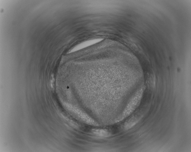 X0000065980649200603172116