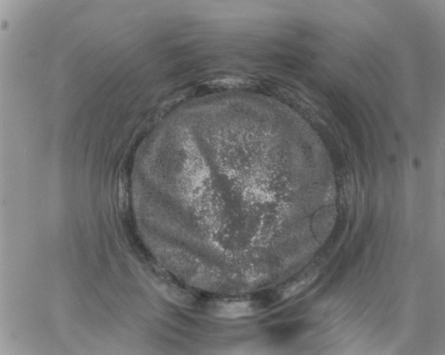 X0000065980651200603172116