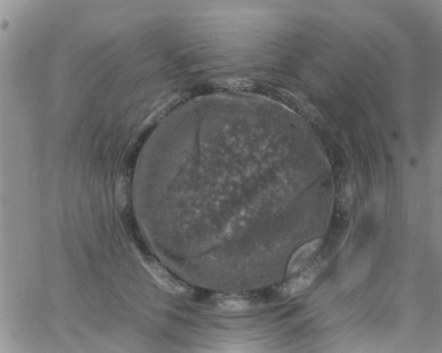 X0000065980658200603172116