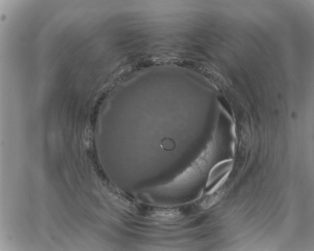 X0000065980659200603172116