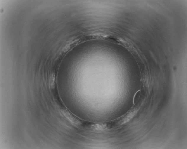 X0000065980660200603172116