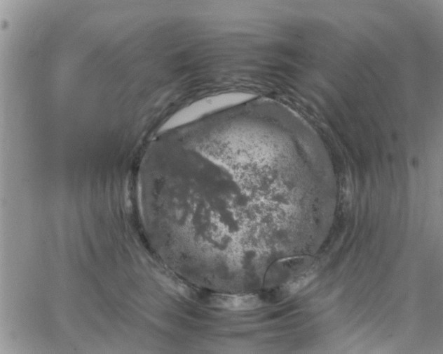 X0000065980663200603172116