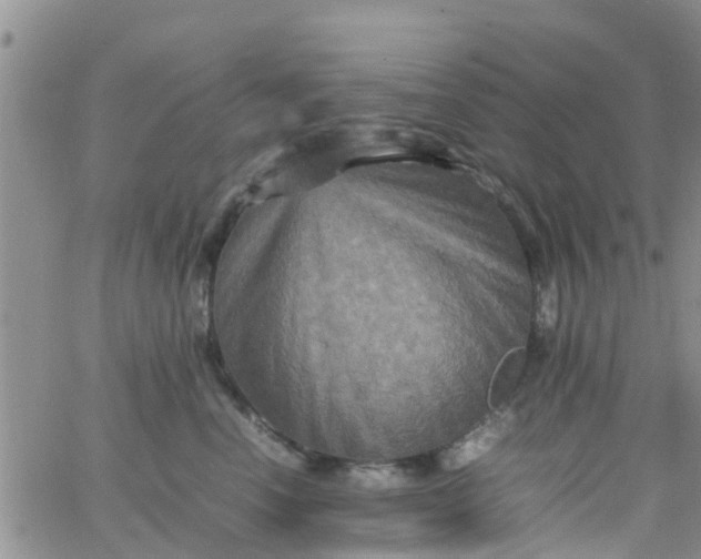 X0000065980666200603172116