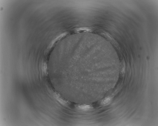 X0000065980669200603172116