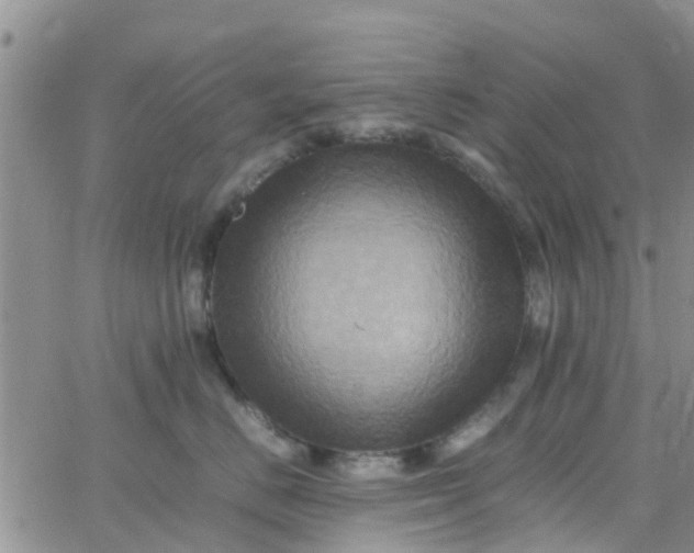 X0000065980670200603172116