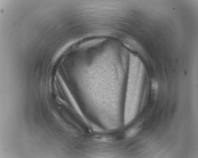 X0000065980676200603172116