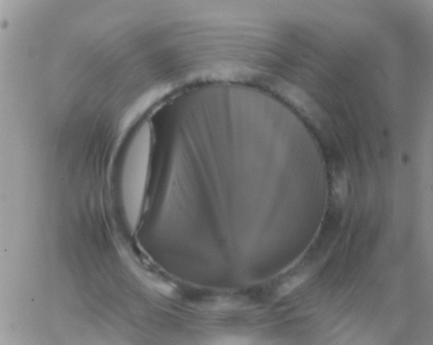 X0000065980678200603172116