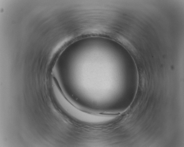 X0000065980680200603172116