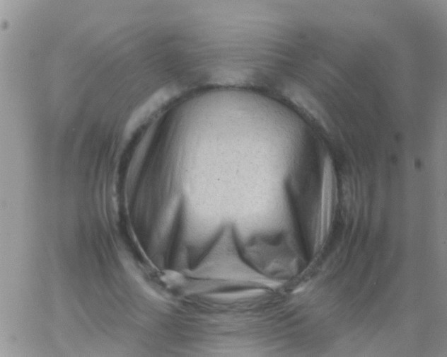 X0000065980682200603172116