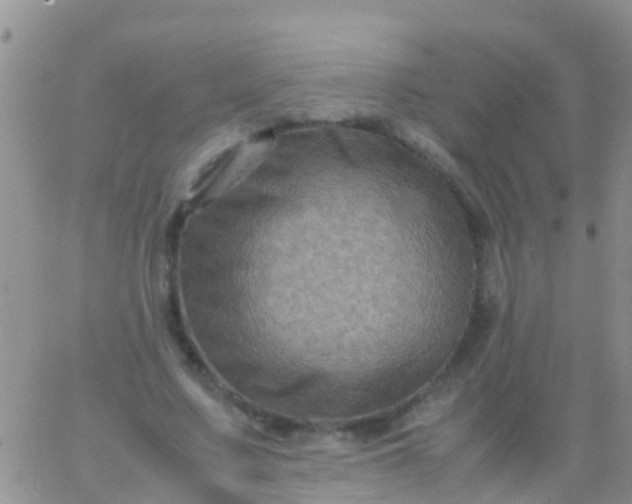 X0000065980683200603172116